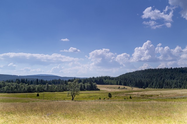Svoboda pohybu